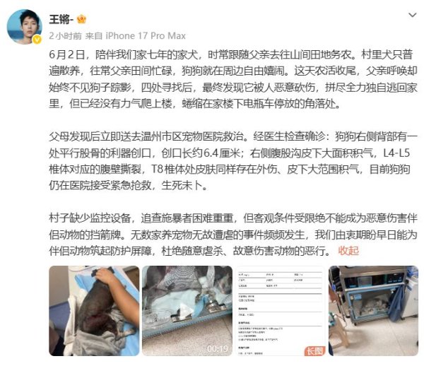 21点在线游戏免费试玩网页版 演员王锵盛怒发文:养了7年的爱犬,被东谈主坏心砍伤;网友热议:外出提出拴好绳