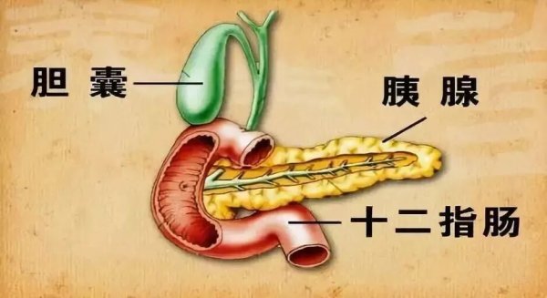 21点网页版点击即玩 25岁女子“饿6天吃1天”,一个月瘦15斤!“纵容日”蓦然腹痛吐逆急送医