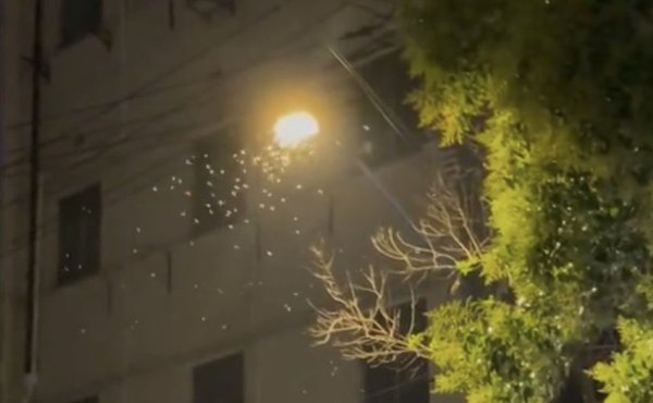 21点在线玩 “白蚁，你要杀了我吗？ ”上海近期家白相聚体转移？别慌，这么作念就行……